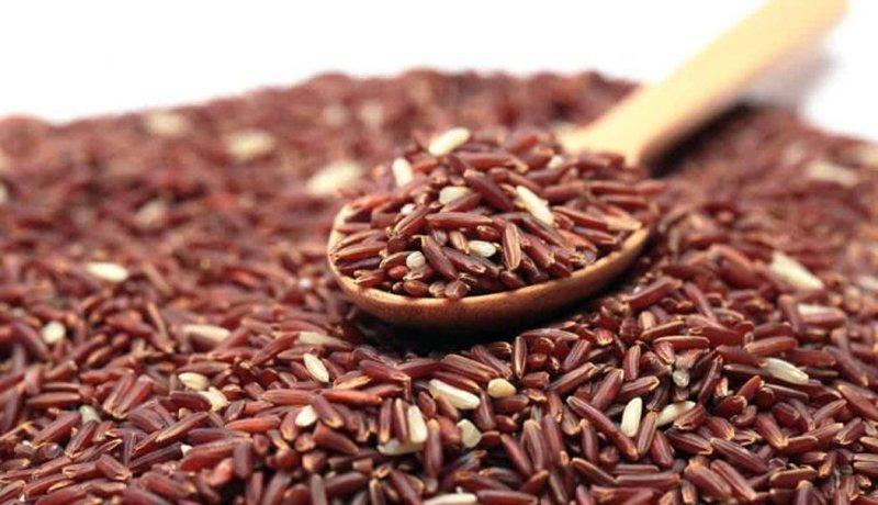 Giúp hỗ trợ tiêu hoá
