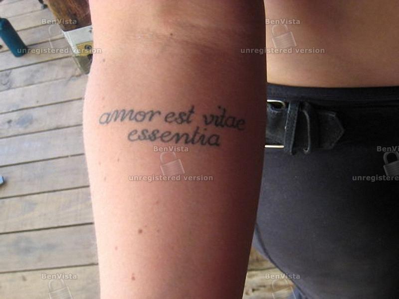 Amor est vitae essentia