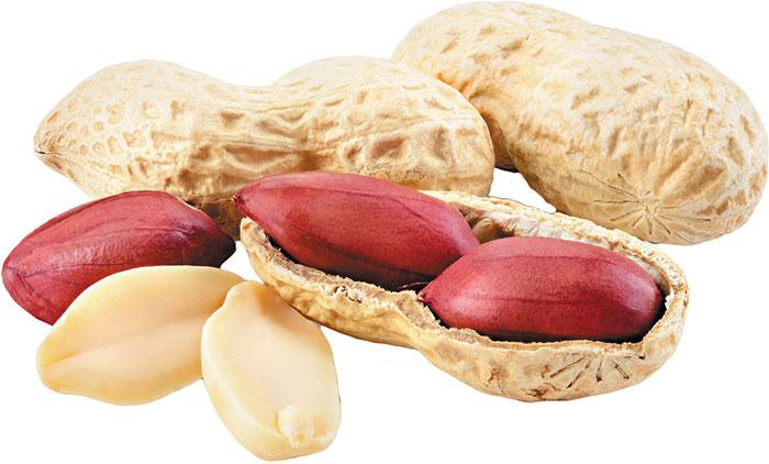 Trong lạc, vừng có nhiều đạm, nhiều dầu giúp đề phòng các bệnh về tim mạch