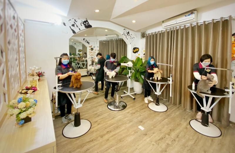 Azpet Spa