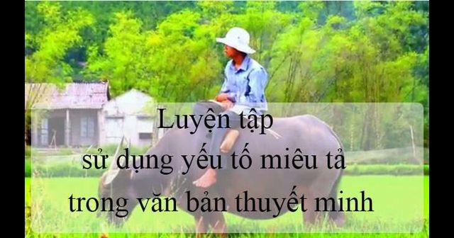 Ảnh minh họa (Nguồn internet)