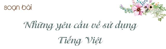 Hình minh họa
