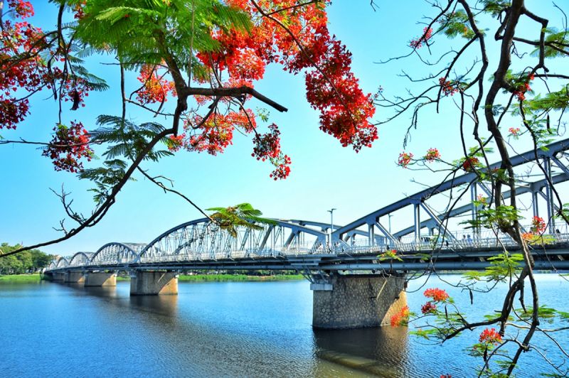 Bài văn tham khảo số 7