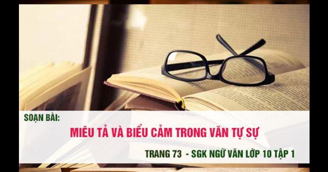 Hình minh họa