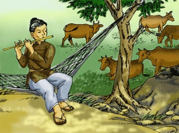 Hình minh hoạ