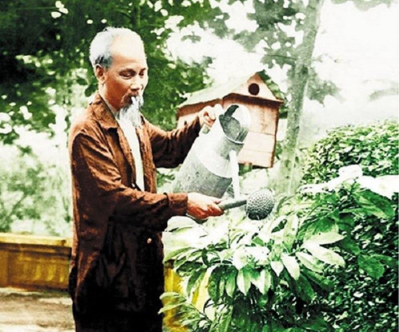 Ảnh Bác Hồ (nguồn internet)