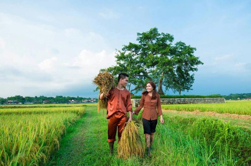 Ảnh minh họa (nguồn Internet)