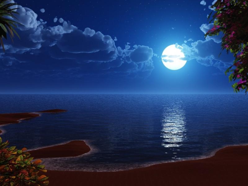 Vẻ đẹp của đêm trăng tuyệt vời và thơ mộng.