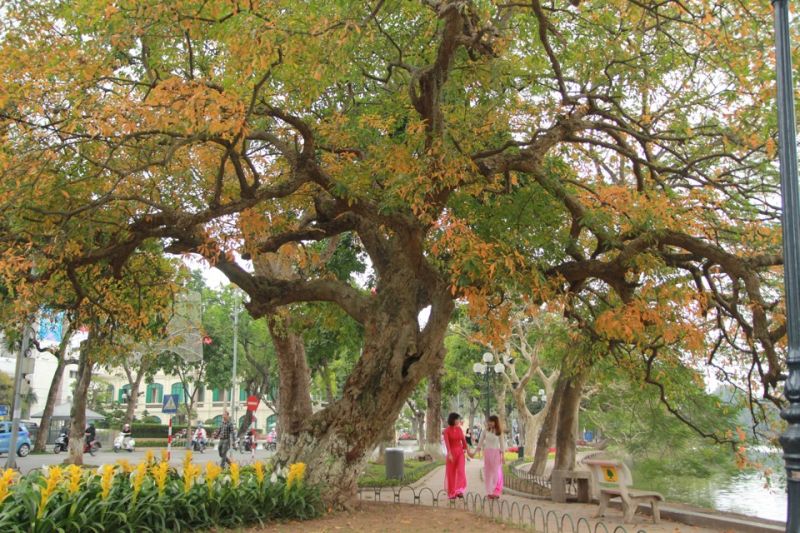 Thu nồng nàn