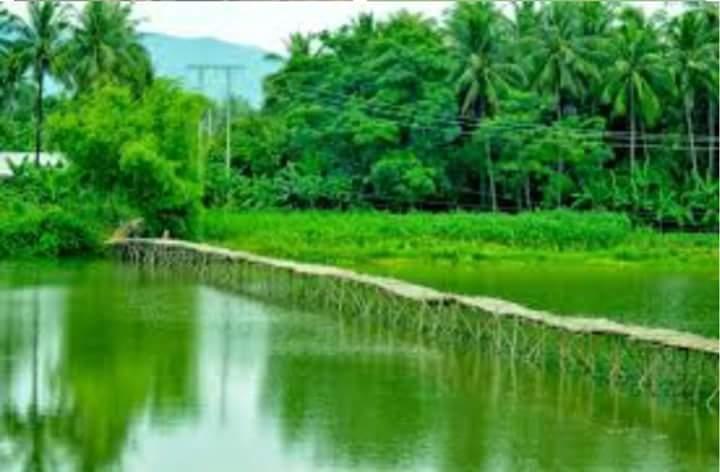 Ảnh minh họa (Nguồn internet)