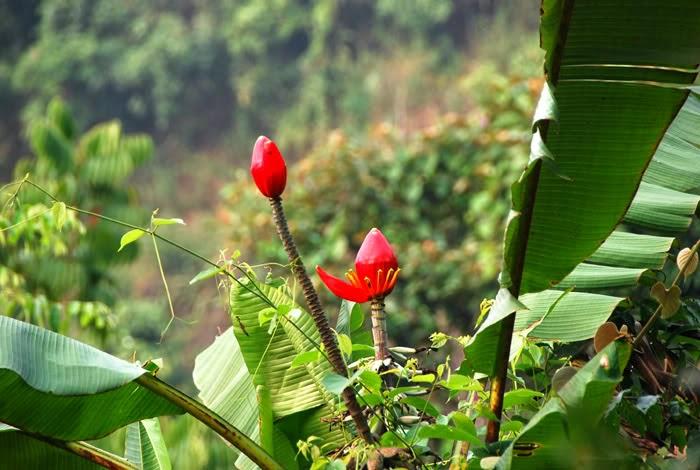 Bài tham khảo số 8