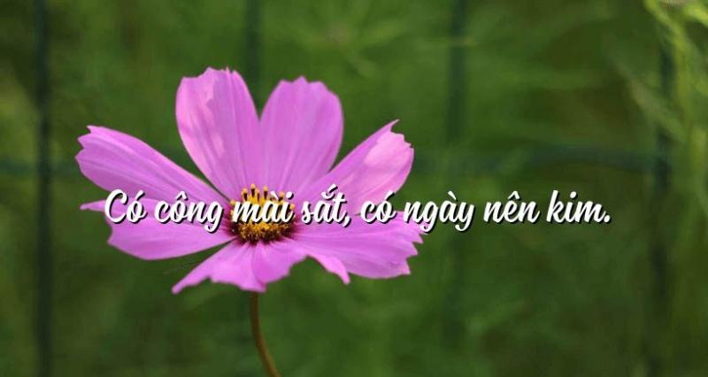 Ảnh minh họa (Nguồn internet)
