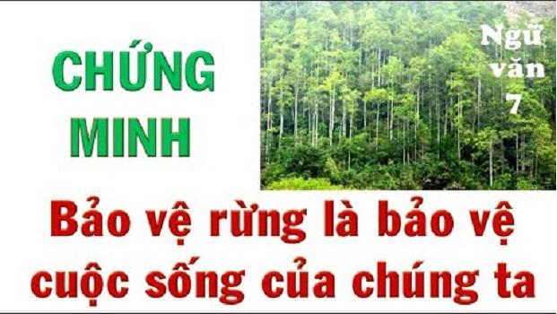Ảnh minh họa (Nguồn internet)
