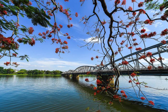 Ảnh minh họa (Nguồn internet)