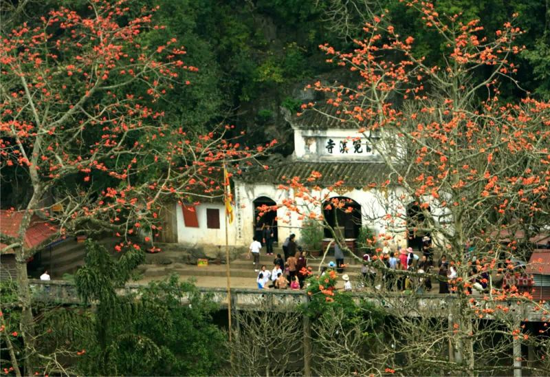 Ảnh minh họa (Nguồn internet)