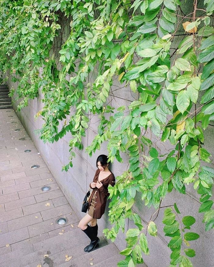 Bảo tàng Hà Nội