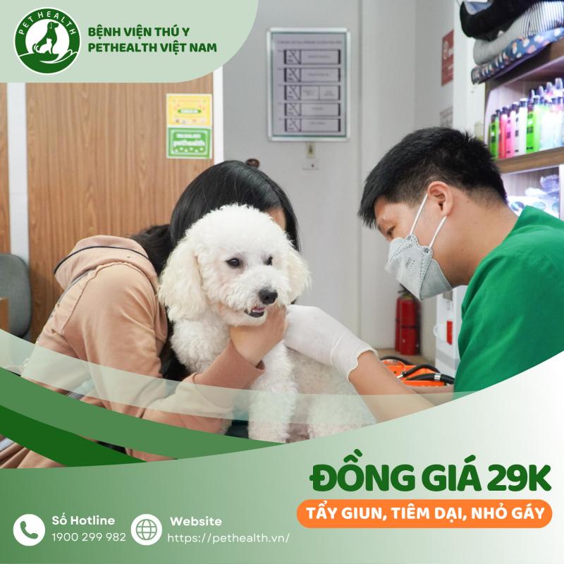 Bệnh Viện  Thú Y Pethealth