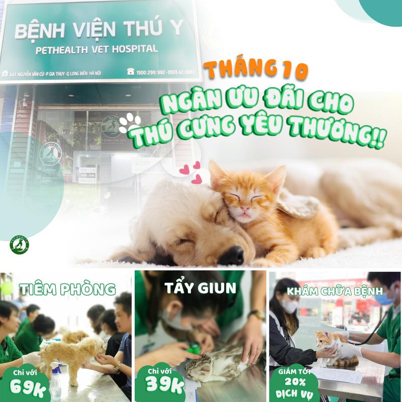 Bệnh Viện  Thú Y Pethealth
