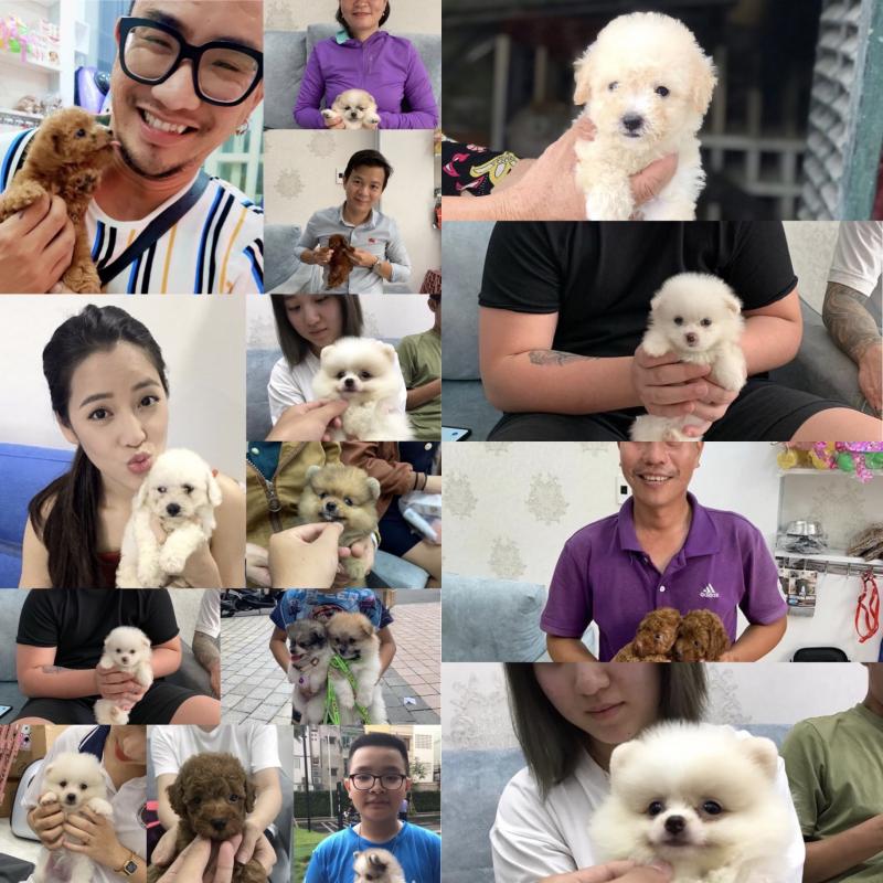 Binbondogshop.com