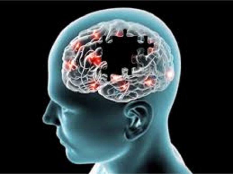 Thông tin truyền đến não bộ rất nhanh