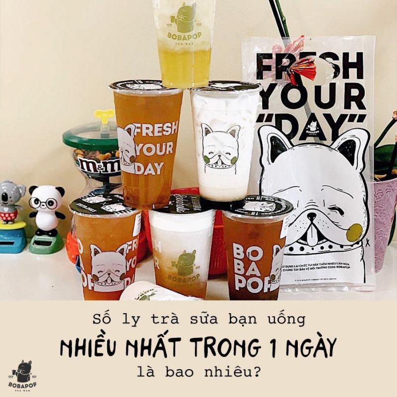 Bobapop Quảng Ngãi