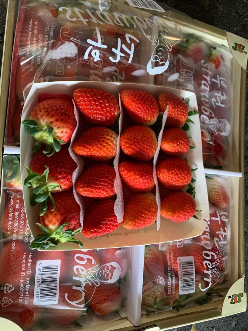 BON Fruits
