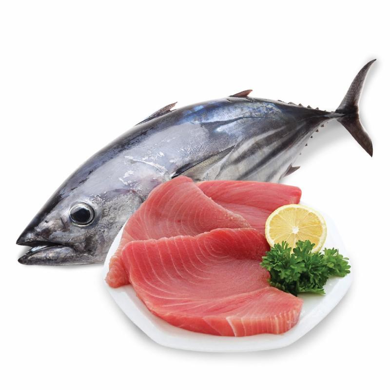 Các loại cá có hàm lượng thủy ngân cao