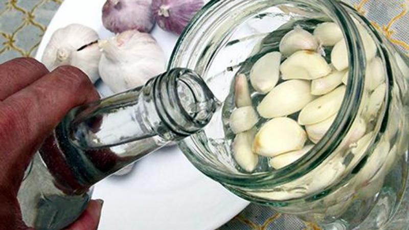 Sử dụng rượu tỏi chữa tổ đỉa