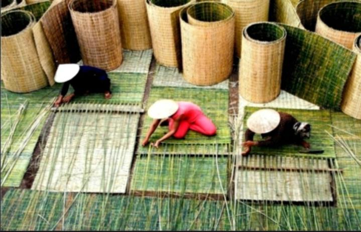 Mổ công đoạn làm chiếu cói Nga Sơn