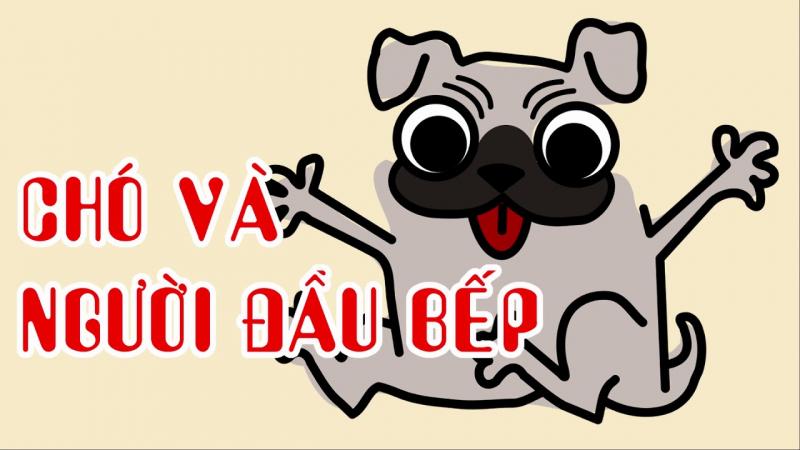 Chó và người đầu bếp