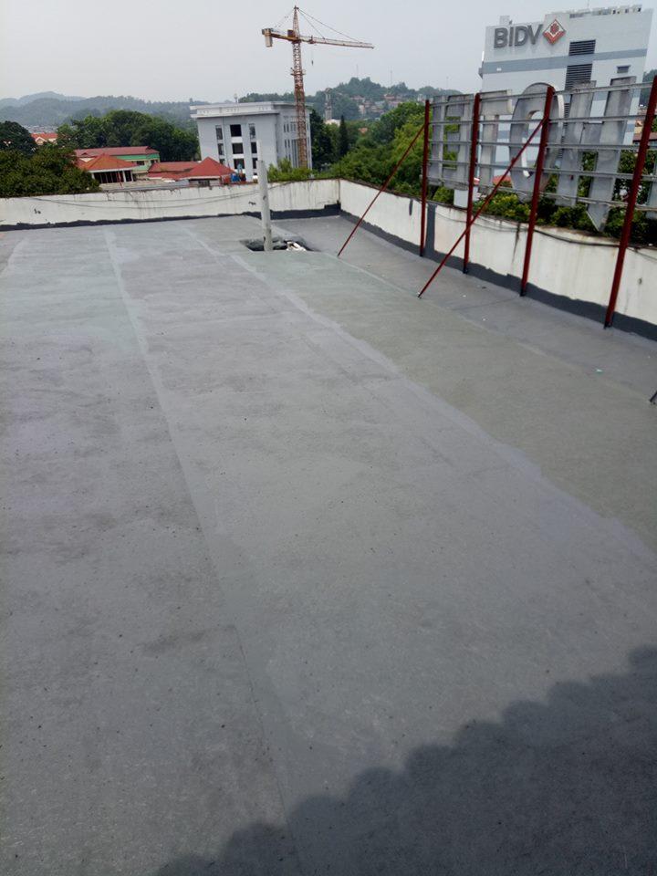 Công ty xây dựng Hạ Long