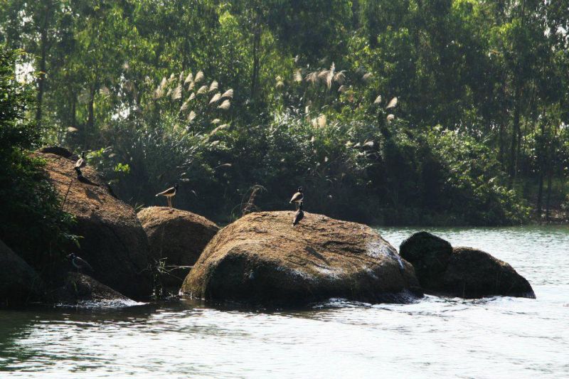 Phong cảnh hữu tình