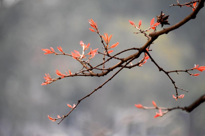 Hương vị mùa đông