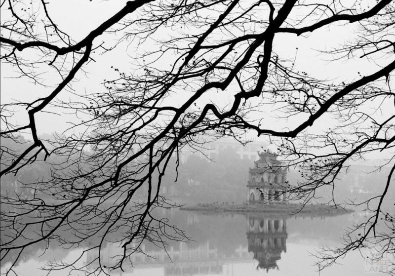 Hương vị mùa đông