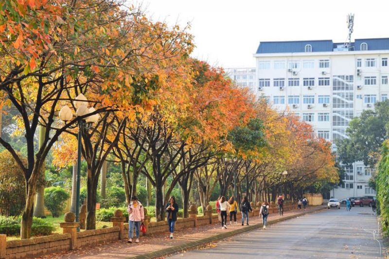 Con đường Tình yêu Sư phạm