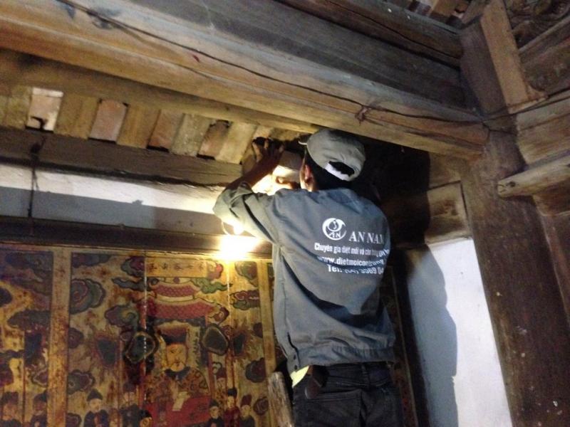Công ty diệt mối côn trùng An Nam (An Nam Pest Control) - đơn vị diệt mối tận gốc uy tín hàng đầu Hà Nội