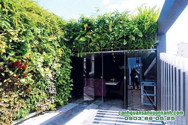 Công ty Kiến trúc Cảnh Quan Sân Vườn Xanh