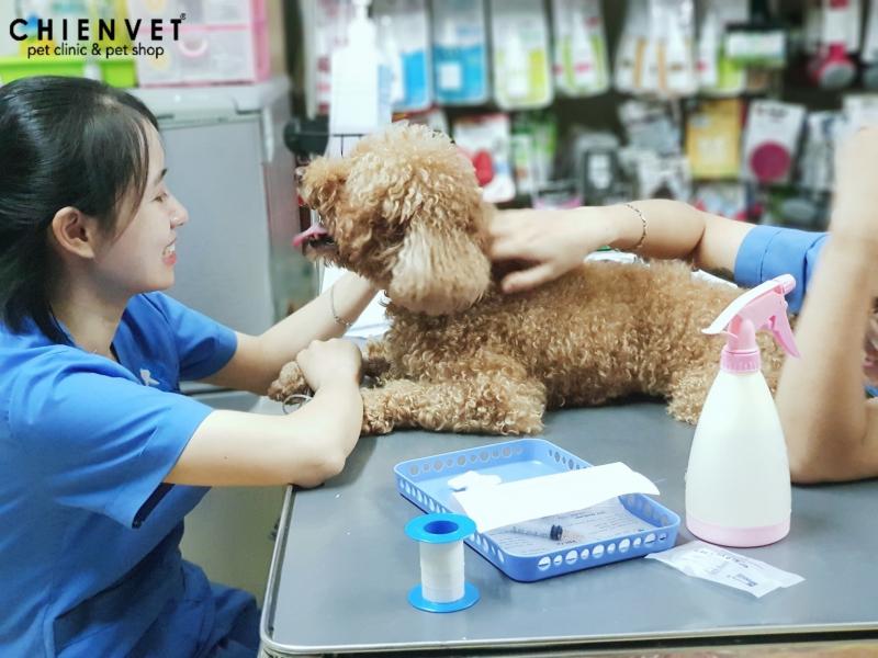 Chien Vet Clinic