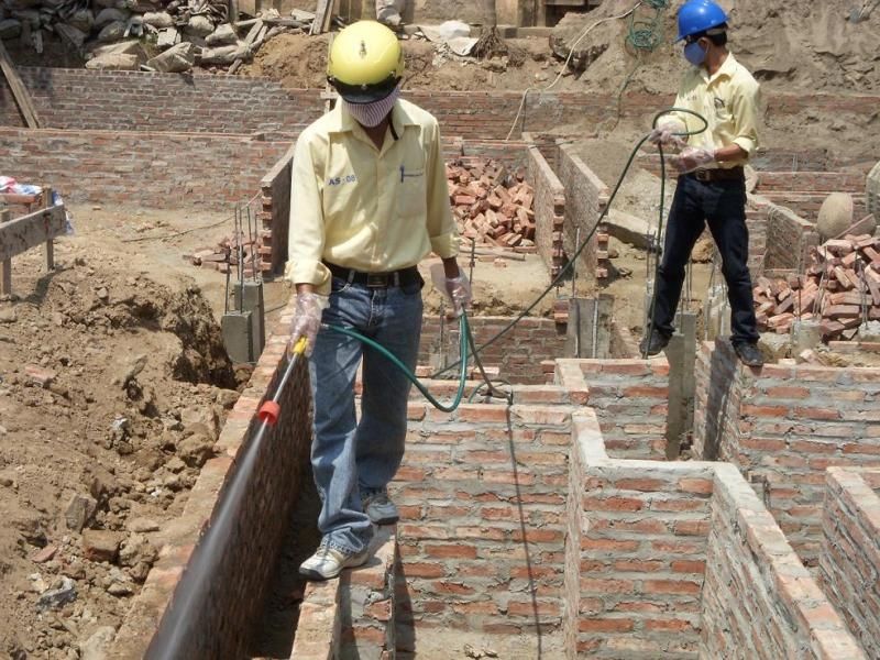 Công ty TNHH diệt mối và côn trùng Hà Nội