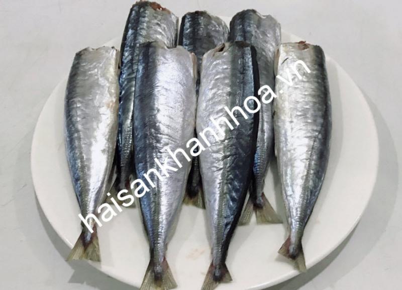 Công ty TNHH Hải sản Khánh Hoà