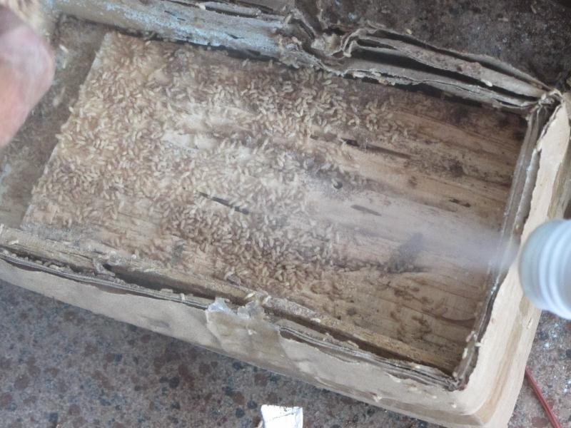 Công ty TNHH tư vấn đầu tư xây dựng và thương mại ASIA Việt Nam