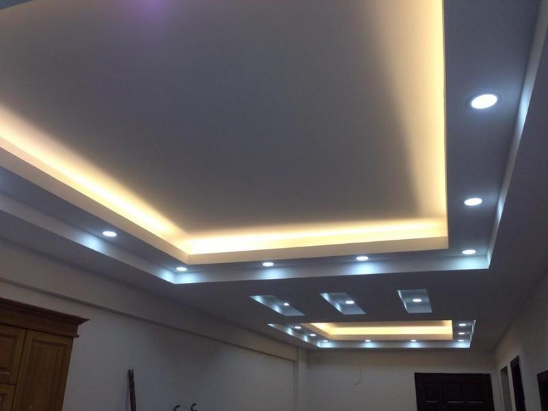 Gecko Office