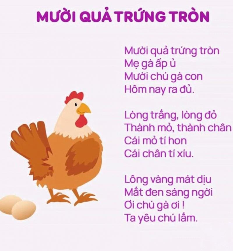 Đàn gà con