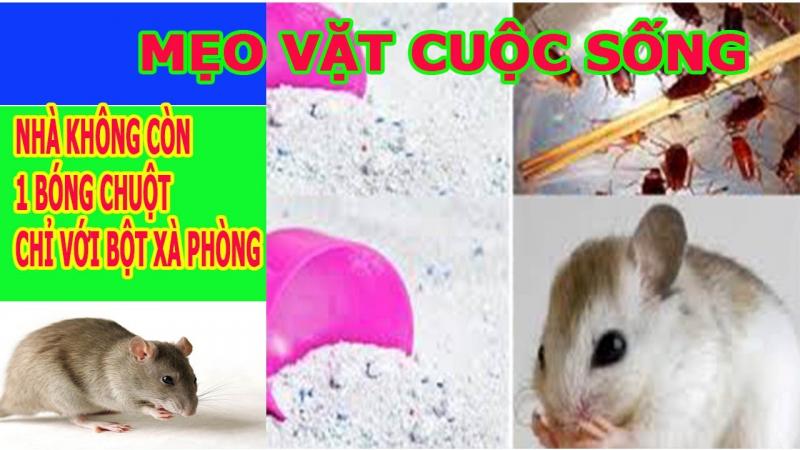 Diệt chuột bằng bột giặt