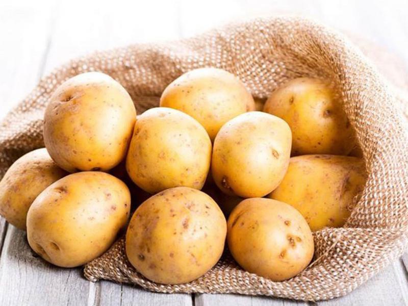 Diệt chuột bằng khoai tây nghiền