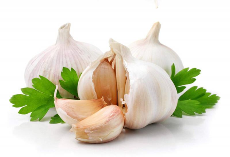 Diệt chuột bằng tỏi