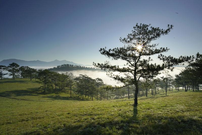 Đồi Đa Phú Đà Lạt