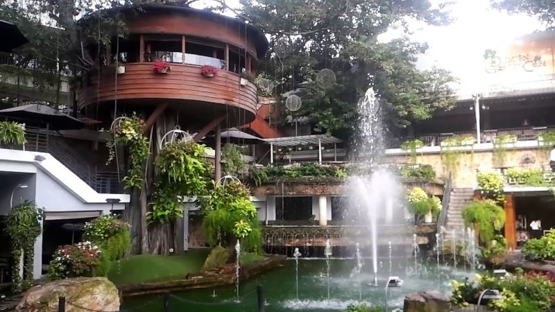 Du Miên Garden Coffee