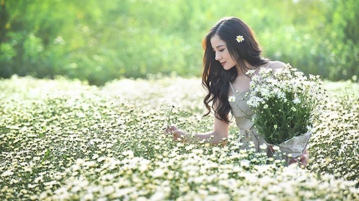 Hình minh hoạ