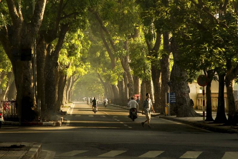 Đường Hoàng Diệu